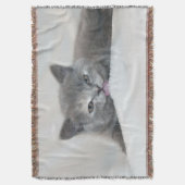 Couverture Kitts gris Licking Neige (devant Vertical)