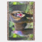 Couverture La faune africaine (devant Vertical)