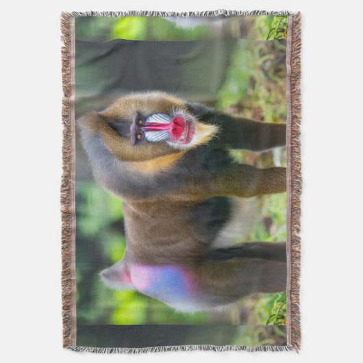 Couverture La faune africaine (devant Vertical)