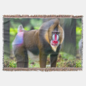 Couverture La faune africaine