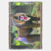 Couverture La faune africaine