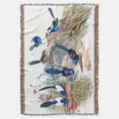 Couverture La faune bleue d'oiseaux de roitelet fleurit le (devant Vertical)