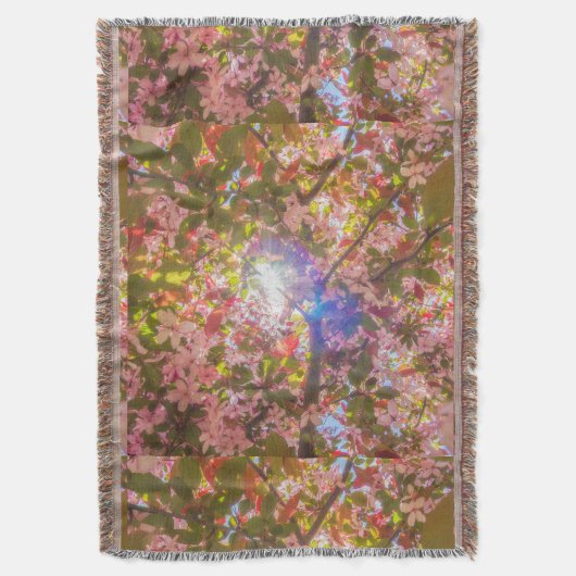 Couverture La nature fleurit fleurs lumière fleur soleil (devant Vertical)