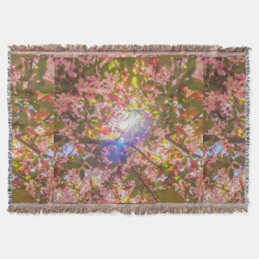 Couverture La nature fleurit fleurs lumière fleur soleil (Devant)