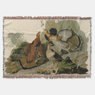 Couverture La peinture d'Audubon d'un trio de Grouse Ruffed