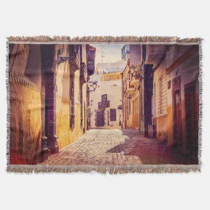 Couverture La ruelle espagnole