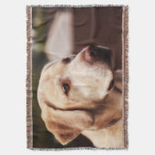Couverture Labrador retriever (devant Vertical)