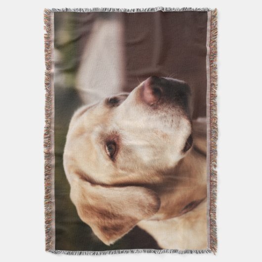Couverture Labrador retriever (devant Vertical)