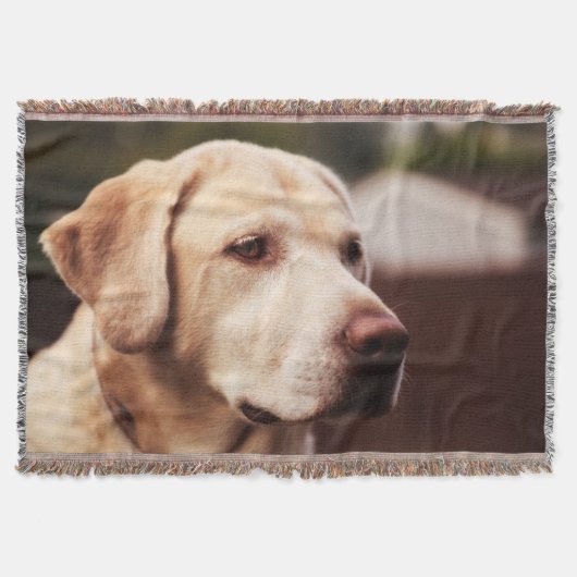 Couverture Labrador retriever (Devant)