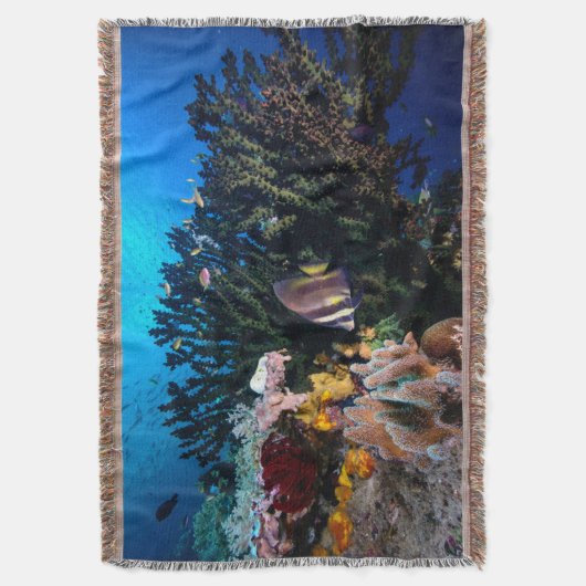 Couverture Laja Ampat 4 sous-marins (devant Vertical)