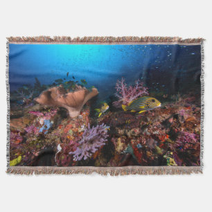 Couverture Laja Ampat sous-marin