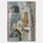 Couverture L'Amour Du Tigre Et Du Cube (devant Vertical)