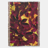 Couverture Lancer Choisya automne (devant Vertical)