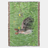 Couverture Lapin (devant Vertical)