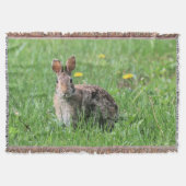 Couverture Lapin (Devant)