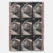 Couverture Lapin à oreilles de Lop (devant Vertical)