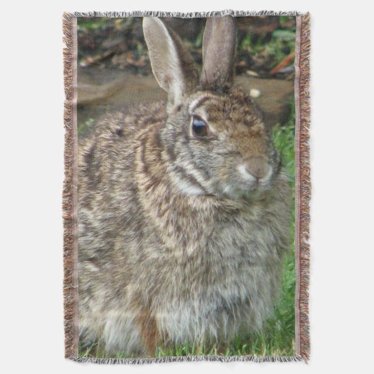 Couverture Lapin doux sauvage (devant Vertical)