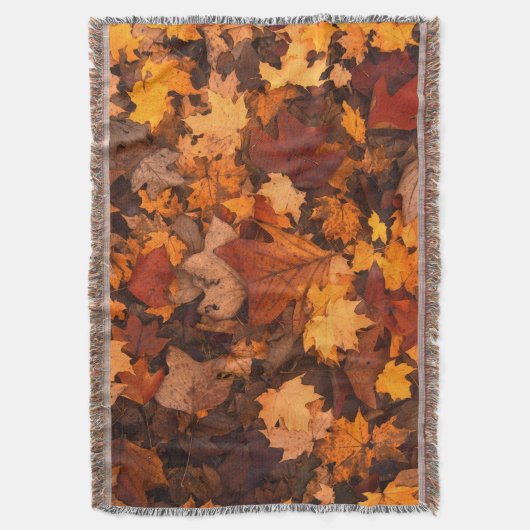 Couverture l'automne (devant Vertical)