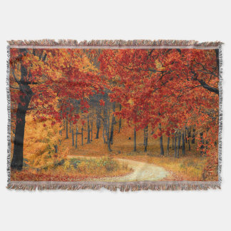 Couverture l'automne dans la forêt