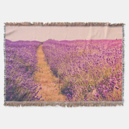 Couverture Lavander (Devant)