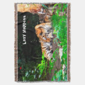 Couverture Lazy arrive le tigre de Sibérie (devant Vertical)