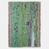 Couverture Le bison américain (devant Vertical)