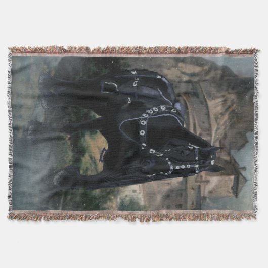 Couverture Le Cheval Médiéval - Blanket (Devant)