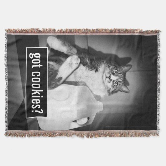 Couverture Le Lait De Chat De Juge (Devant)