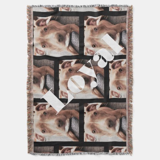 COUVERTURE LE LOYAL PIT BULL JETTE (devant Vertical)