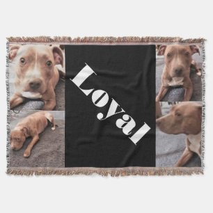 COUVERTURE LE LOYAL PIT BULL JETTE