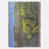 Couverture Le monument national de Carrizo Plain (devant Vertical)
