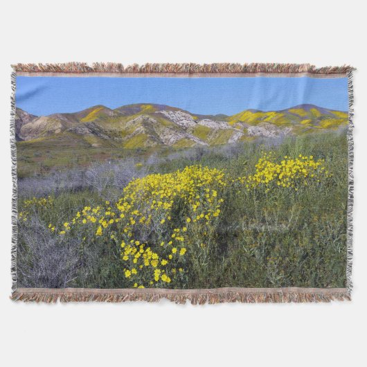 Couverture Le monument national de Carrizo Plain (Devant)