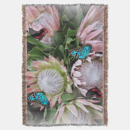 Couverture Le roi Protea (devant Vertical)