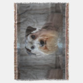 Couverture Le visage de Schnauzer Dog (devant Vertical)