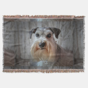 Couverture Le visage de Schnauzer Dog