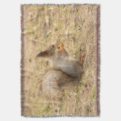 Couverture L'écureuil mignon mange une photo de noix (devant Vertical)