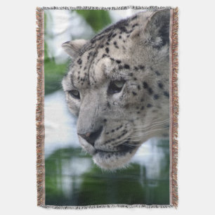 Couverture Leopard 003