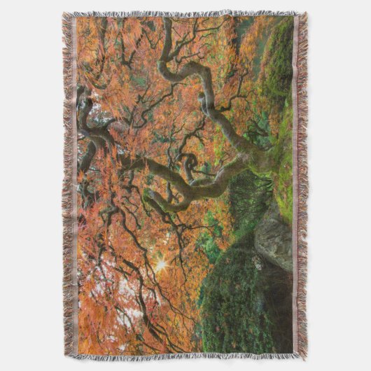 Couverture L'Érable Dans Les Jardins Japonais En Automne (devant Vertical)