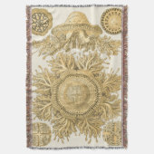 Couverture Les créatures de la mer d'or (devant Vertical)