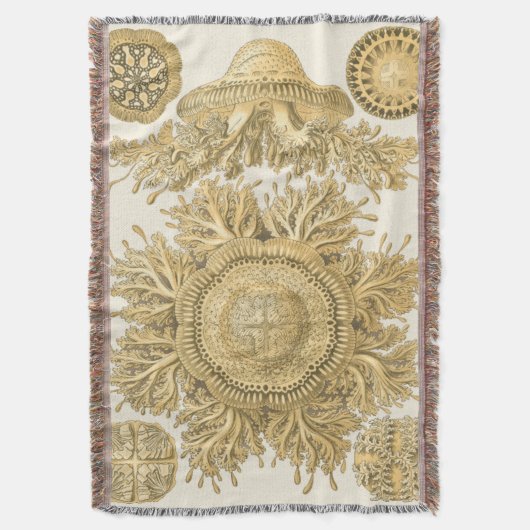 Couverture Les créatures de la mer d'or (devant Vertical)