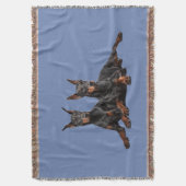 Couverture Les gardiens (devant Vertical)