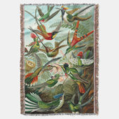 Couverture Les magnifiques colibris d'Ernst Haeckel (devant Vertical)