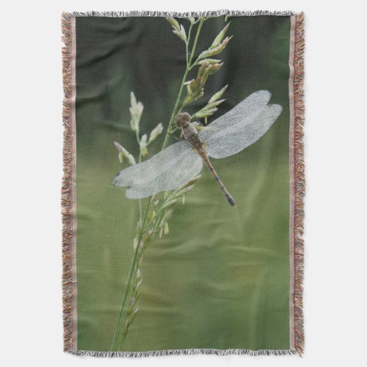 Couverture Libellule Darner couverte de rosée (devant Vertical)