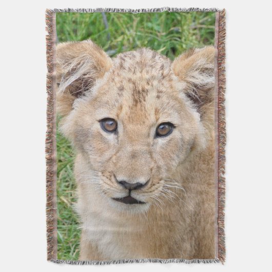 Couverture Lion (devant Vertical)
