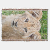 Couverture Lion (Devant)