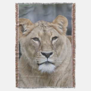 Couverture Lion 004