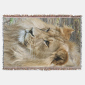 Couverture Lion 011 (Devant)