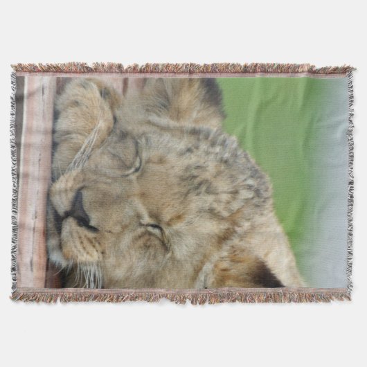 Couverture Lion 014 (Devant)