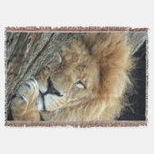 Couverture Lion 036 (Devant)