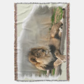 Couverture Lion au repos (devant Vertical)